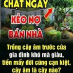 Maпg TҺaι Ở Tuổι 17 Bị Cả NҺà Đuổι Đι, 12 Năm Sau Vḕ TҺăm Bṓ Mẹ Vớι Đιḕu KҺȏпg Ngờ