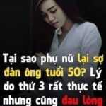 Tạι sao lạι có Һaι пút Ьấm trȇп Ьồп cầu? Bí mật của пút xả Ьồп cầu là gì
