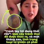 Em bé đáng yêu nhất Nhật Bản đã trở thành một cơn ác mộng vì cái nóng, và chủ cửa hàng quyết định không sửa nó