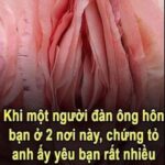 BÉ TRAI MƯỜI HAI TUỔI B:ÁN VÉ SỐ BỊ V:U O:AN Ă:N C:ẮP NĂM TR:IỆU GIỮA CHỢ, BỊ TR:ÓI TAY LÔI XỀNH XỆCH NHƯNG CHỈ KH:ÓC HỎI MỘT CÂU: “CÔ ƠI, CÔ CÓ THẤY EM CHÁU ĐÂU KHÔNG?”
