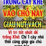 Mừng vợ cũ 300 triệu cưới tài xế, tôi nhận tin nhắn CHẤN ĐỘNG sau 3 ngày!