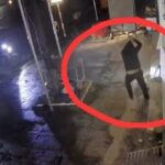 tổ chức sử dụng trái phép chất mai thúy