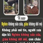 Mừng vợ cũ 300 triệu cưới tài xế, tôi nhận tin nhắn CHẤN ĐỘNG sau 3 ngày!